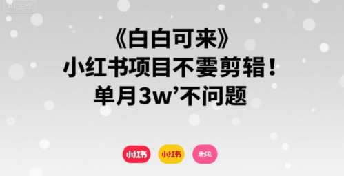 小白可来 小红书项目不需要剪辑 单月3w不是问题-韬哥副业项目资源网