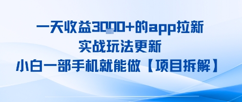 一天收益1k+的app拉新，实战玩法更新，小白一部手机就能做【项目拆解】-韬哥副业项目资源网