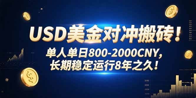 (15551期)USD美金对冲搬砖!单人单日800-2000CNY,长期稳定运行8年之久!-韬哥副业项目资源网