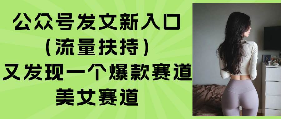 （15781期）公众号发文新入口（流量扶持），又发现一个爆款赛道：美女赛道-韬哥副业项目资源网