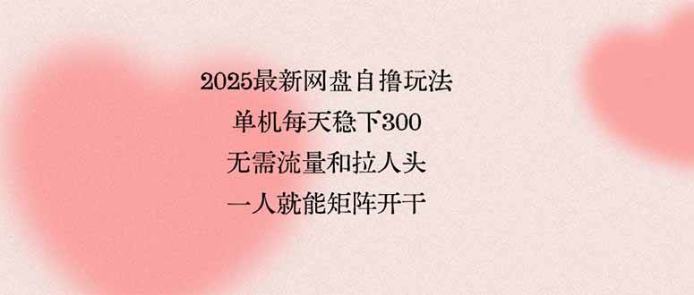 （15831期）2025最新网盘自撸玩法，单机每天稳下3张，无需流量和拉人头，一个人就…-韬哥副业项目资源网