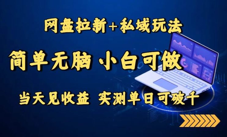 (15744期)网盘拉新+私域玩法,简单无脑,小白可做,当天见收益,实测单日可破千-韬哥副业项目资源网