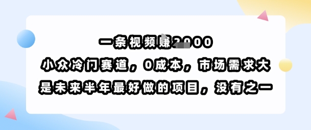 一条视频挣1k，小众冷门赛道，0成本，市场需求大，是未来半年最好做的项目，没有之一-韬哥副业项目资源网