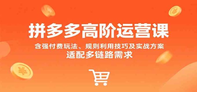 拼多多高阶运营课，含强付费玩法、规则利用技巧及实战方案，适配多链路需求-韬哥副业项目资源网