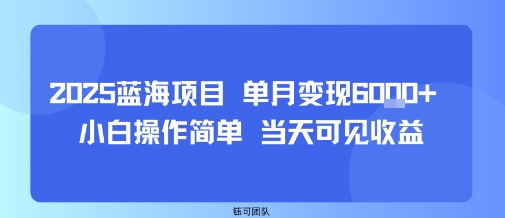 2025蓝海项目 单月变现6k+ 小白操作简单 当天可见收益-韬哥副业项目资源网