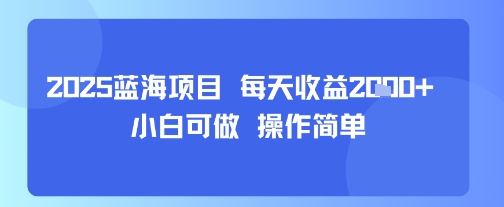 2025蓝海项目 每天收益多张 小白可做 操作简单-韬哥副业项目资源网