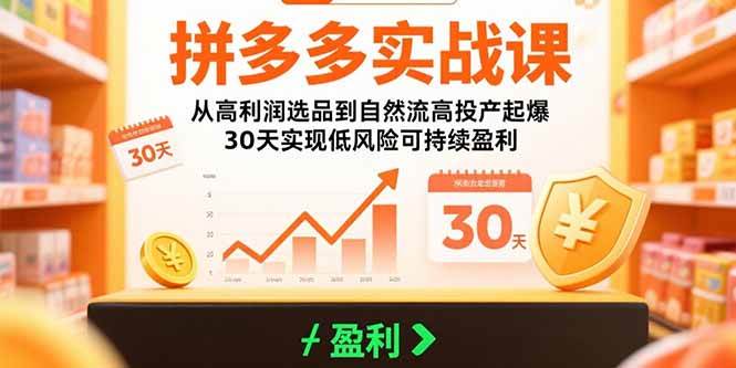 （15586期）拼多多实战课：从高利润选品到自然流高投产起爆 30天实现低风险可持续盈利-韬哥副业项目资源网