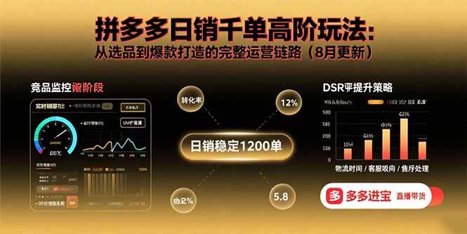 (15850期)拼多多日销千单高阶玩法:从选品到爆款打造的完整运营链路(8月更新)-韬哥副业项目资源网