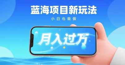 小红书蓝海项目新玩法，一部手机即可月入过W，推荐小白做非常简单认可度超高-韬哥副业项目资源网