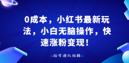 0成本，小红书最新玩法，小白无脑操作，快速涨粉变现-韬哥副业项目资源网