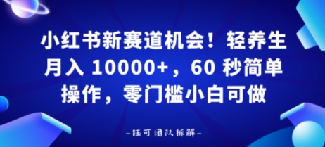 小红书新赛道机会，轻养生月入 1w，60 秒简单操作，带货接广都可以，零门槛小白可做-韬哥副业项目资源网