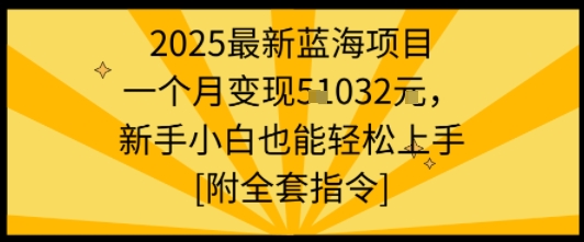 2025最新蓝海项目一个月变现1w+新手小白也能轻松上手【附全套指令】-韬哥副业项目资源网