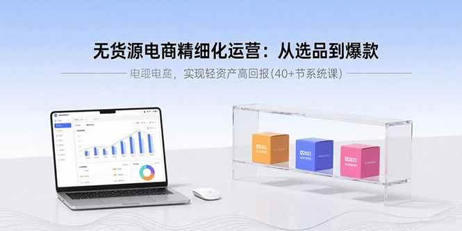 （15896期）无货源电商精细化运营：从选品到爆款，实现轻资产高回报(40+节系统课)-韬哥副业项目资源网