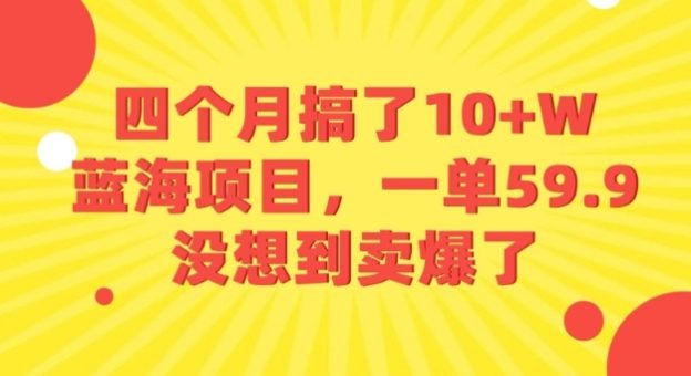 四个月搞了10+W的蓝海项目,一单59.9米,没想到卖爆了-韬哥副业项目资源网