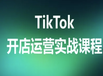 TikTok开店运营实战课程，TK跨境电商实操全流程-韬哥副业项目资源网