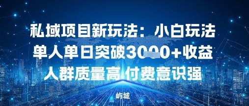 私域项目新玩法：小白玩法单人单日突破1k收益人群质量高付费意识强-韬哥副业项目资源网