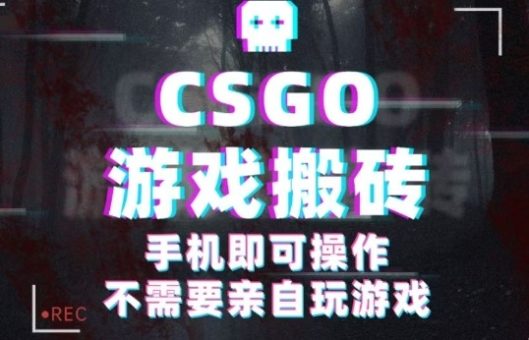 CSGO游戏挂G捡漏,单日扫货5张+,年底小高峰上车可吃肉,手机即可操作,兼职副业创业网创【揭秘】-韬哥副业项目资源网