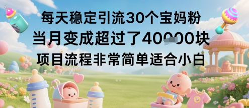 每天稳定引流30个宝妈粉当月变成超过了1W+项目流程非常简单适合小白-韬哥副业项目资源网