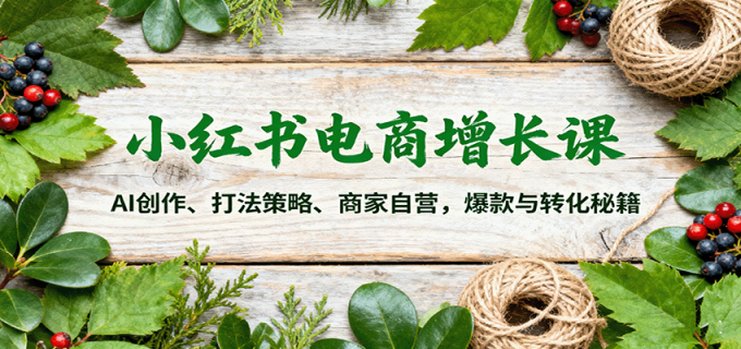 小红书电商增长课：AI创作、打法策略、商家自营，爆款与转化秘籍-韬哥副业项目资源网