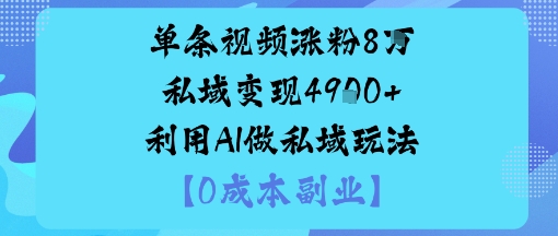 单条视频涨粉8W私域变现1k+利用AI做私域玩法-韬哥副业项目资源网