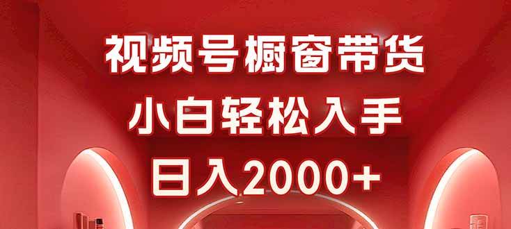 （16248期）视频号橱窗带货，小白轻松入手，日入2000+-韬哥副业项目资源网