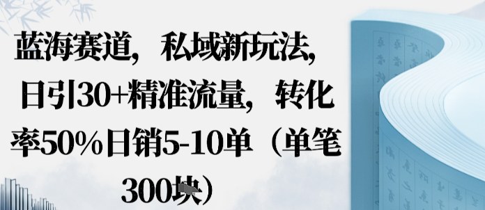 蓝海赛道，私域新玩法，日引30+精准流量，转化率50%日销5-10单（单笔3张）-韬哥副业项目资源网