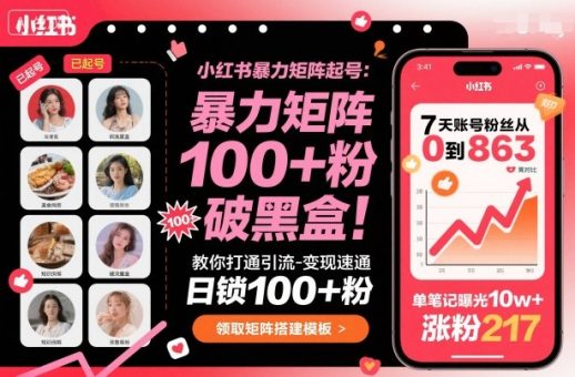 小红书暴力矩阵起号，教你打通引流-变现速通，日锁100+粉，破流量黑盒-韬哥副业项目资源网