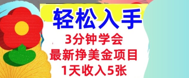 最新挣美金项目，日入5张，3分钟学会，小白轻松入手（长久的被动收入）-韬哥副业项目资源网