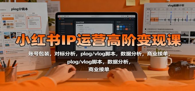 小红书IP运营高阶变现课：账号包装，对标分析，plog/vlog脚本，数据分析，商业接单-韬哥副业项目资源网
