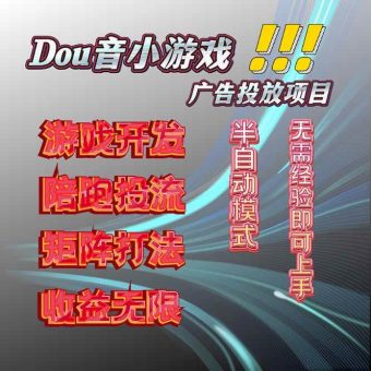 （16175期）抖音小游戏广告推广项目，2025最新实测落地，单日收益300+-韬哥副业项目资源网