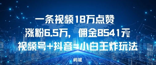 一条视频18W点赞涨粉6.5W，佣金8541视频号+抖音=小白王炸玩法-韬哥副业项目资源网