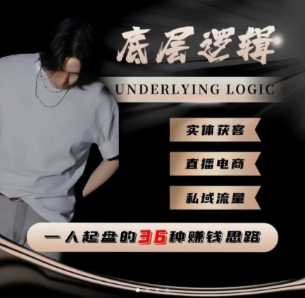 一个人起盘的底层逻辑,私域流量-直播电商-实体获客,一人起盘的36种賺钱思路-韬哥副业项目资源网