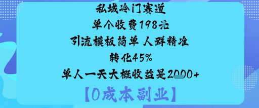 私域冷门赛道:单个收费198米引流模板简单人群精准转化45%单人一天大概收益是1k+-韬哥副业项目资源网