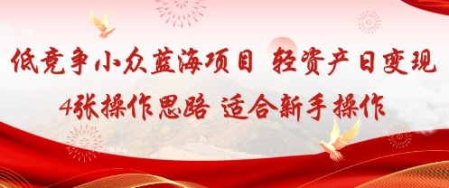 低竞争小众蓝海项目，轻资产日变现4张的操作思路适合新手操作-韬哥副业项目资源网