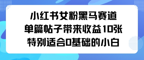 小红书女粉黑马赛道单篇帖子带来收益10张特别适合0基础的小白-韬哥副业项目资源网