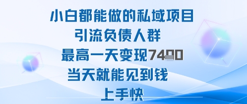 2025年小白都能做的私域项目引流负债人群最高一天变现1k+高变现难度低当天就能见到钱上手快-韬哥副业项目资源网