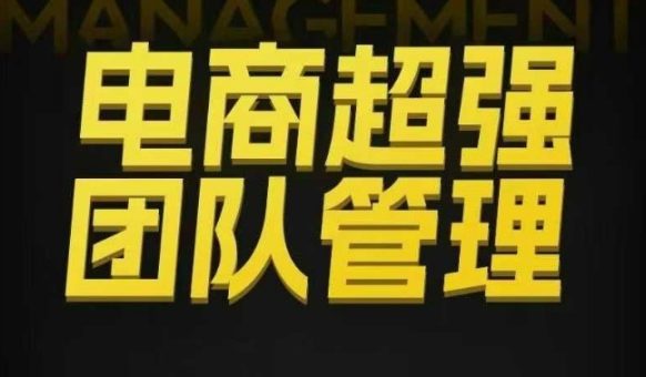 电商超强团队管理，组织绩效，到用人执行，分权合伙-韬哥副业项目资源网