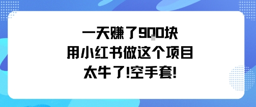一天挣了9张用小红书做这个项目太牛了,空手套-韬哥副业项目资源网