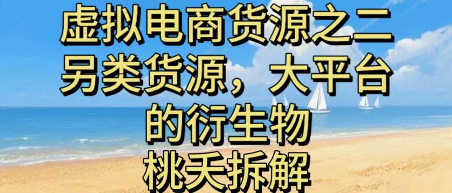 虚拟电商之二—另类的货源，大平台的衍生物-韬哥副业项目资源网