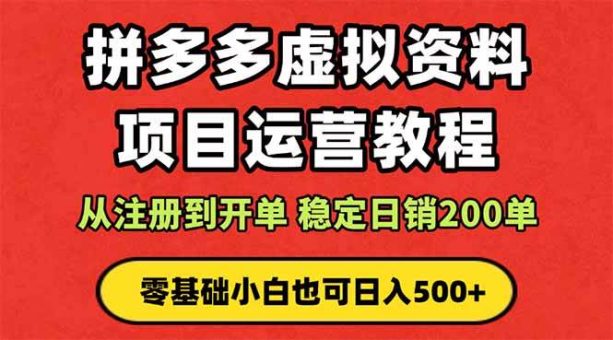 （16220期）拼多多开店运营课程： 蓝海变现玩法，轻松实现睡后收入 零基础小白也可…-韬哥副业项目资源网