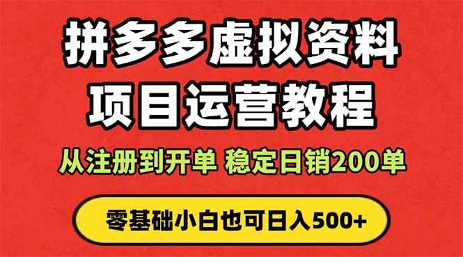 （16220期）拼多多开店运营课程： 蓝海变现玩法，轻松实现睡后收入 零基础小白也可…-韬哥副业项目资源网