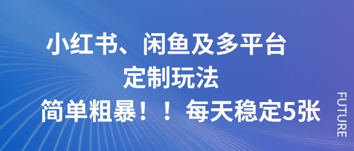 小红书、闲鱼及多平台定制玩法简单粗暴!每天稳定5张-韬哥副业项目资源网