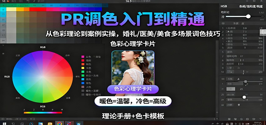 PR调色入门到精通：从色彩理论到案例实操，婚礼/医美/美食多场景调色技巧-韬哥副业项目资源网