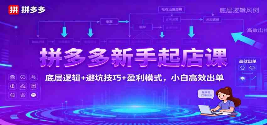 拼多多新手起店课：底层逻辑+避坑技巧+盈利模式，小白高效出单-韬哥副业项目资源网