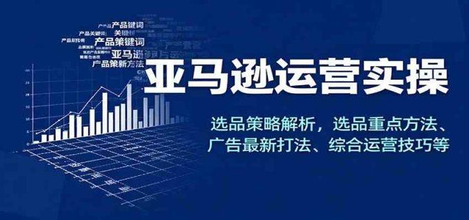 亚马逊运营实操，选品策略解析，选品重点方法、广告最新打法、综合运营技巧等-韬哥副业项目资源网