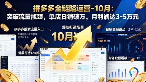 (16462期)拼多多全链路运营-10月:突破流量瓶颈,单店日销破万,月利润达3-5万元-韬哥副业项目资源网