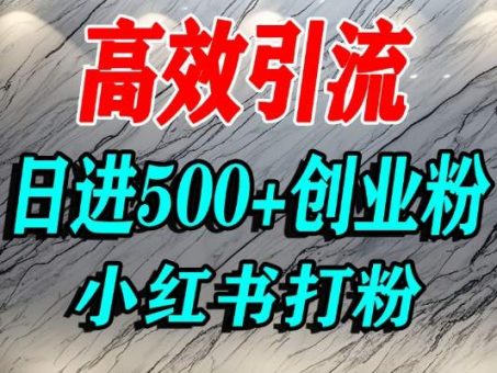 怎么打创业粉？小红书预算3000项目推荐引流精准创业粉，单人操作日引500+精准创业粉-韬哥副业项目资源网
