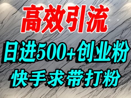 怎么打创业粉？快手求带视角精准引流创业粉，宝妈、学生群体日进500+精准流量-韬哥副业项目资源网