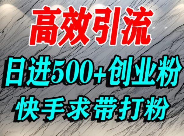 怎么打创业粉?快手求带视角精准引流创业粉,宝妈、学生群体日进500+精准流量-韬哥副业项目资源网