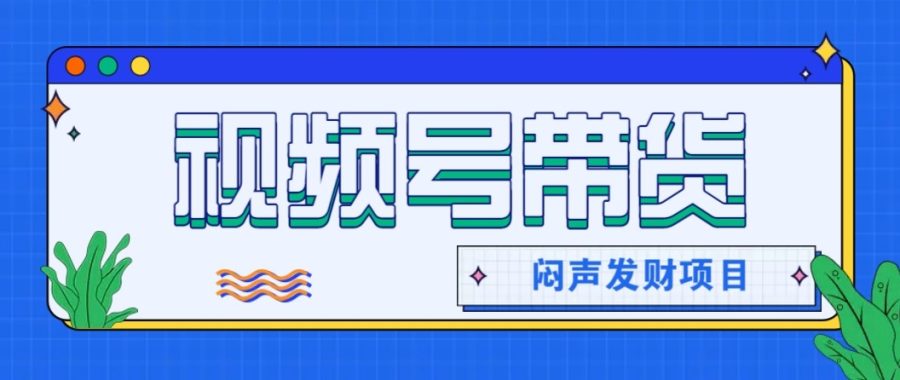 微信视频号带货项目，轻松日赚赚2000+，这个挣钱入口很多伙伴都在闷声发财-韬哥副业项目资源网